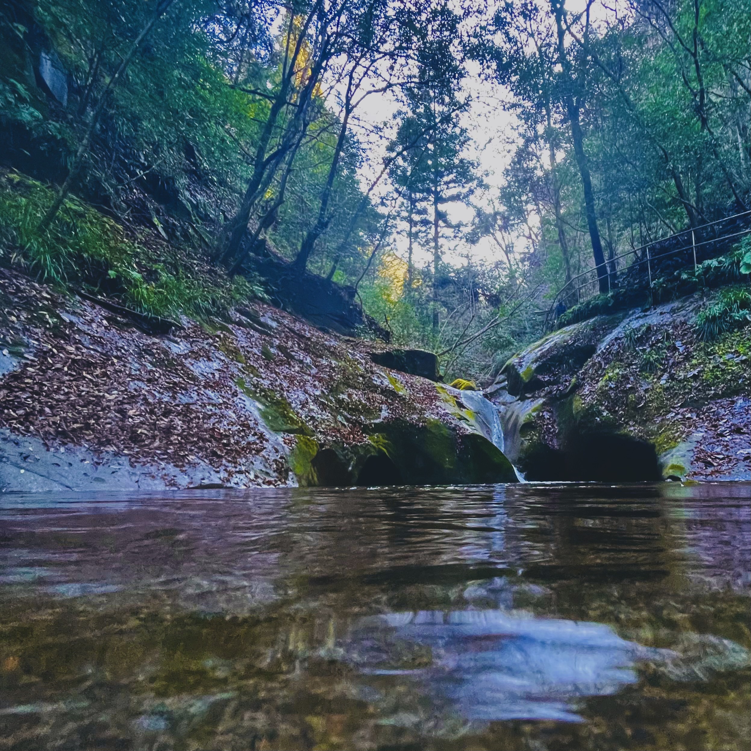 神様に歓迎？された話