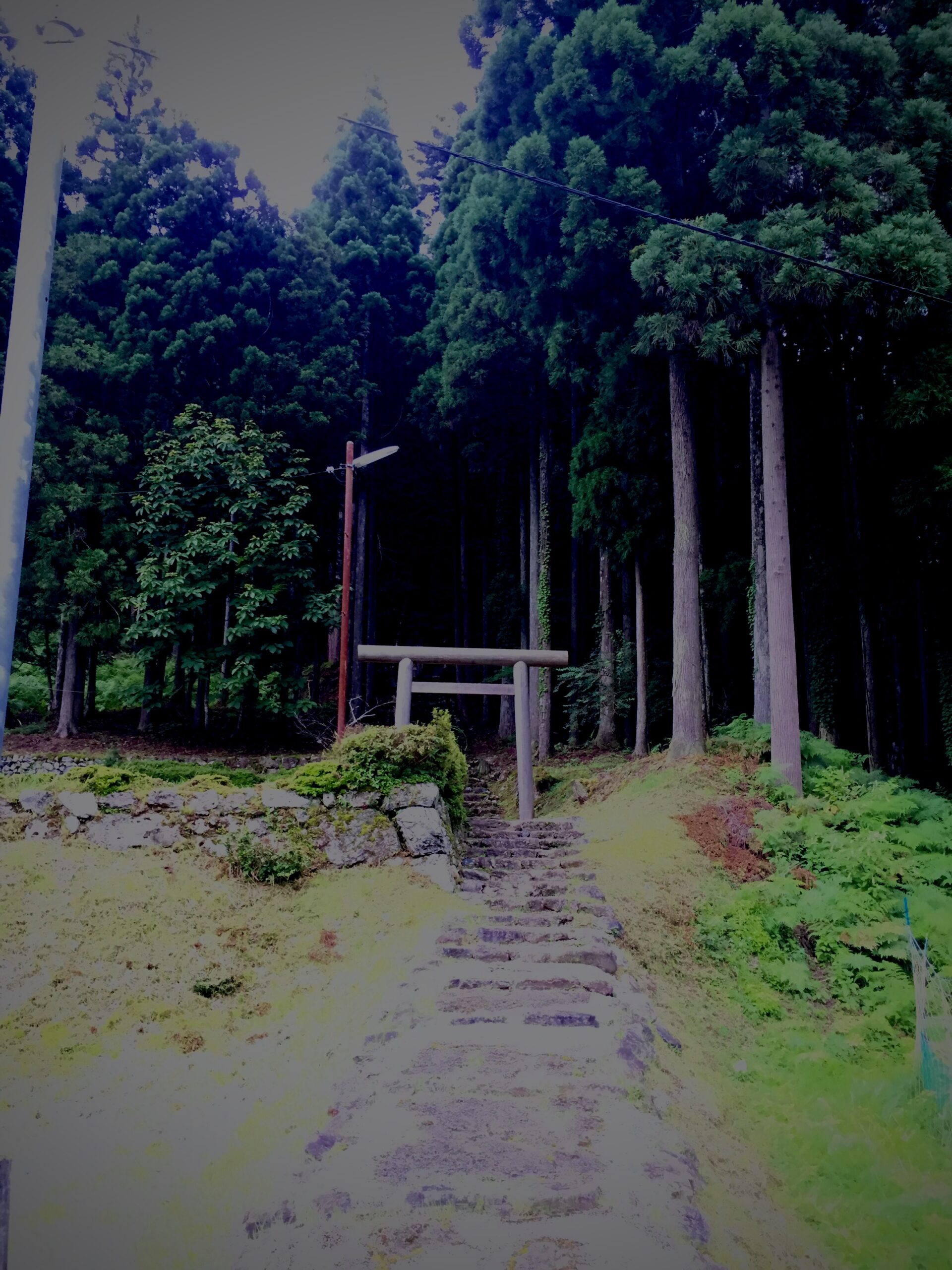 夢？デジャブ？